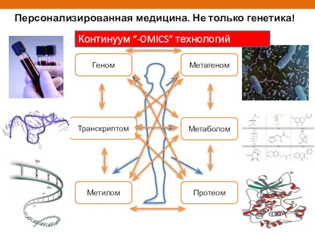 Персонализированная медицина. Не только генетика! Транскриптом Геном Метилом Метагеном Протеом Метаболом Континуум “-OMICS” технологий