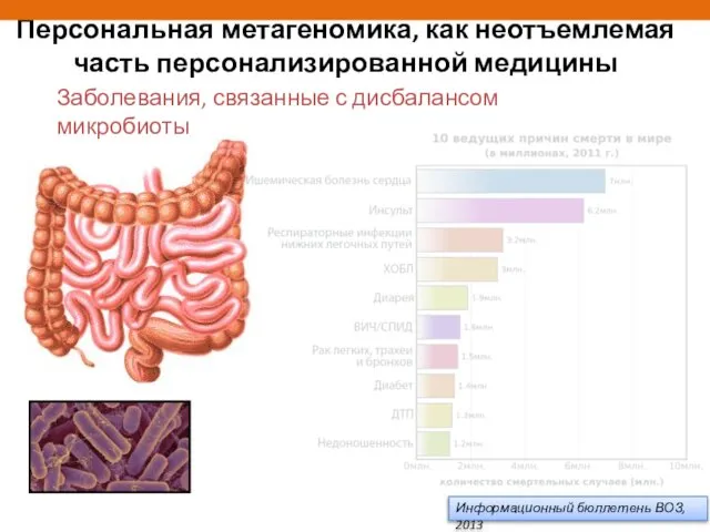 Информационный бюллетень ВОЗ, 2013 Персональная метагеномика, как неотъемлемая часть персонализированной медицины Заболевания, связанные с дисбалансом микробиоты