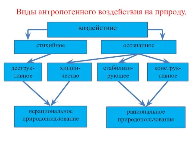 Виды антропогенного воздействия на природу. стихийное осознанное воздействие деструк-тивное хищни-чество стабилизи-рующее