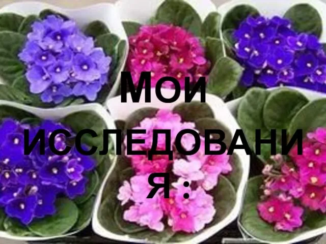 МОИ ИССЛЕДОВАНИЯ :