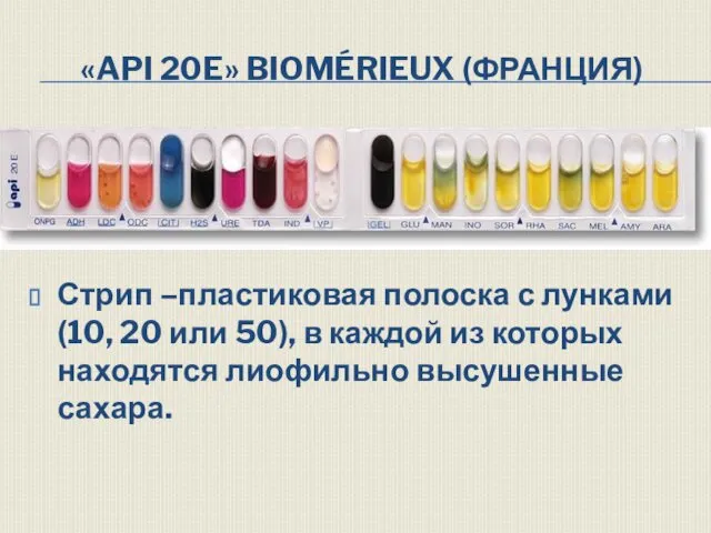 «API 20E» BIOMÉRIEUX (ФРАНЦИЯ) Стрип –пластиковая полоска с лунками (10, 20