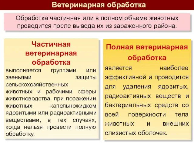 Частичная ветеринарная обработка выполняется группами или звеньями защиты сельскохозяйственных животных и