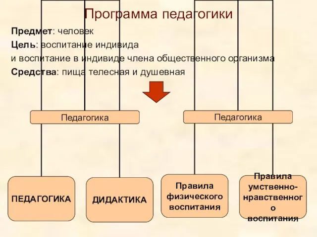 Программа педагогики Предмет: человек Цель: воспитание индивида и воспитание в индивиде