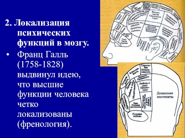 2. Локализация психических функций в мозгу. Франц Галль (1758-1828) выдвинул идею,