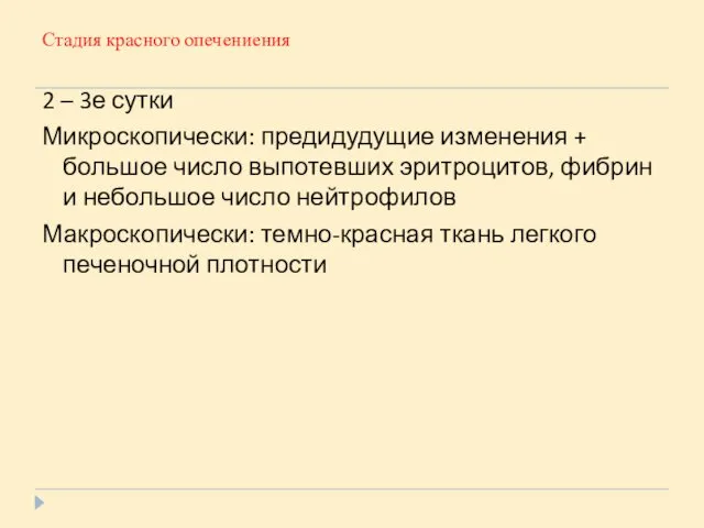 Стадия красного опечениения 2 – 3е сутки Микроскопически: предидудущие изменения +