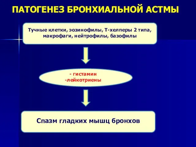 ПАТОГЕНЕЗ БРОНХИАЛЬНОЙ АСТМЫ Тучные клетки, эозинофилы, Т-хелперы 2 типа, макрофаги, нейтрофилы,