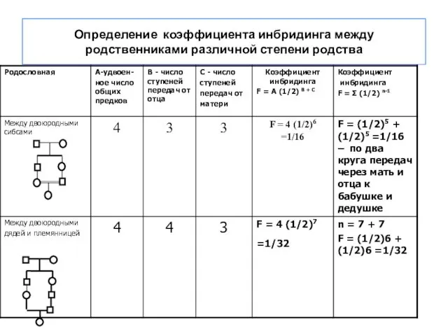 Определение коэффициента инбридинга между родственниками различной степени родства