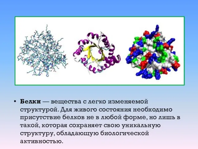 Белки — вещества с легко изменяемой структурой. Для живого состояния необходимо