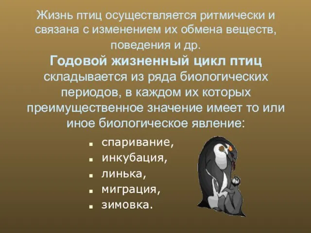 Жизнь птиц осуществляется ритмически и связана с изменением их обмена веществ,