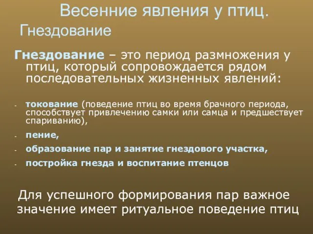 Весенние явления у птиц. Гнездование – это период размножения у птиц,