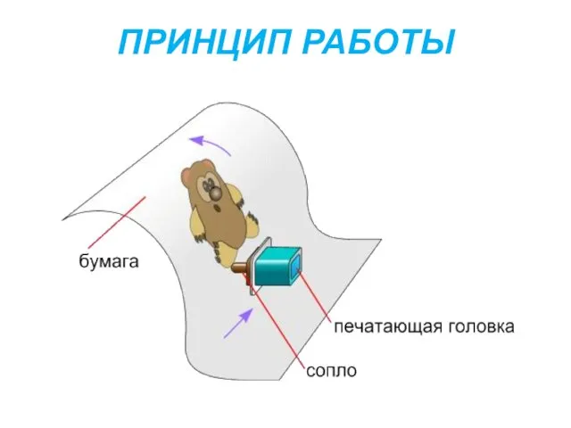 ПРИНЦИП РАБОТЫ