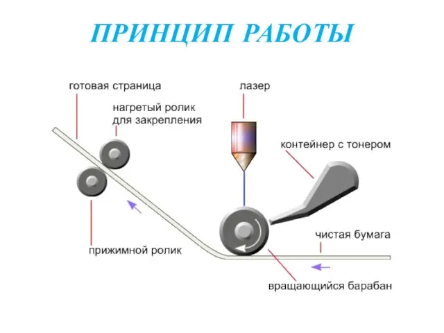 ПРИНЦИП РАБОТЫ