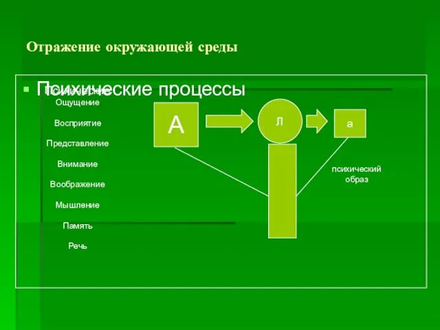 Отражение окружающей среды Психические процессы Л А а психический образ Психические