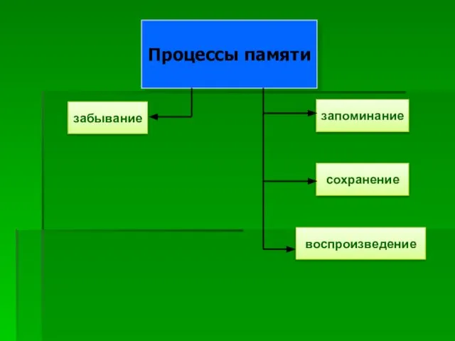 забывание запоминание сохранение воспроизведение Процессы памяти