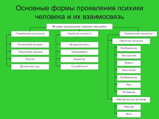 Основные формы проявления психики человека и их взаимосвязь