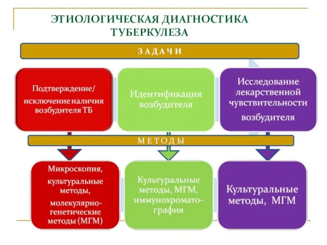 ЭТИОЛОГИЧЕСКАЯ ДИАГНОСТИКА ТУБЕРКУЛЕЗА М Е Т О Д Ы З А Д А Ч И