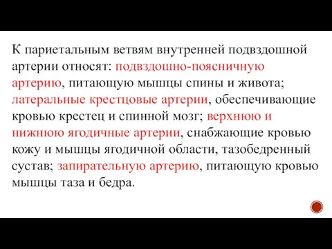 К париетальным ветвям внутренней подвздошной артерии относят: подвздошно-поясничную артерию, питающую мышцы