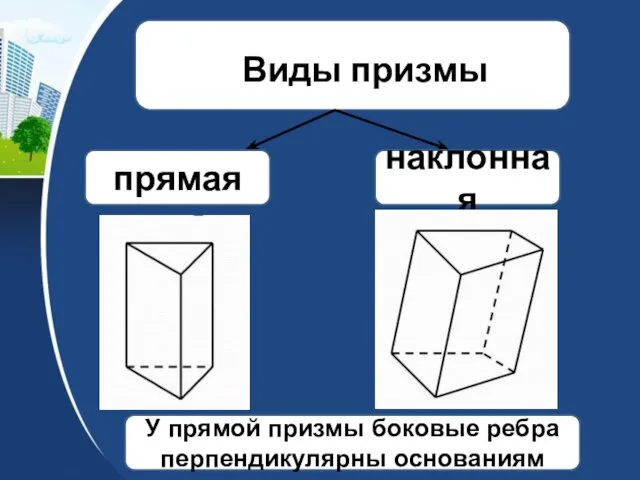 прямая наклонная У прямой призмы боковые ребра перпендикулярны основаниям