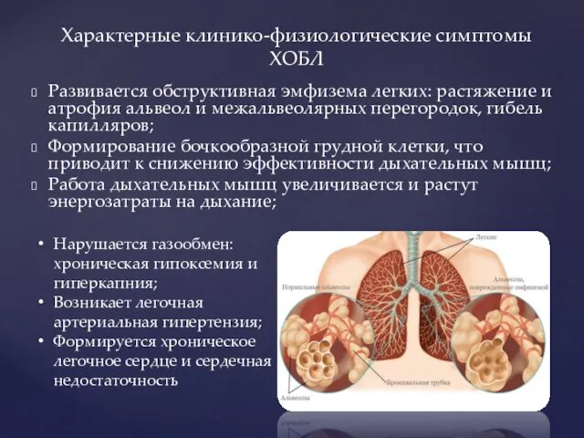 Развивается обструктивная эмфизема легких: растяжение и атрофия альвеол и межальвеолярных перегородок,