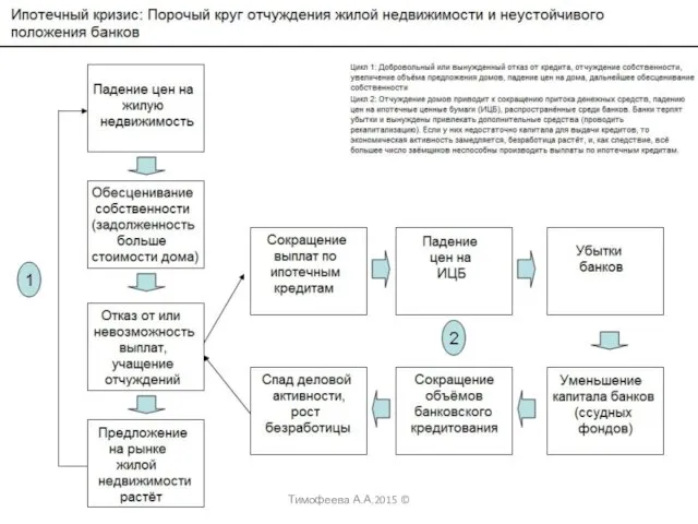 Тимофеева А.А.2015 ©