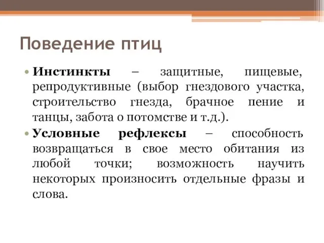 Поведение птиц Инстинкты – защитные, пищевые, репродуктивные (выбор гнездового участка, строительство