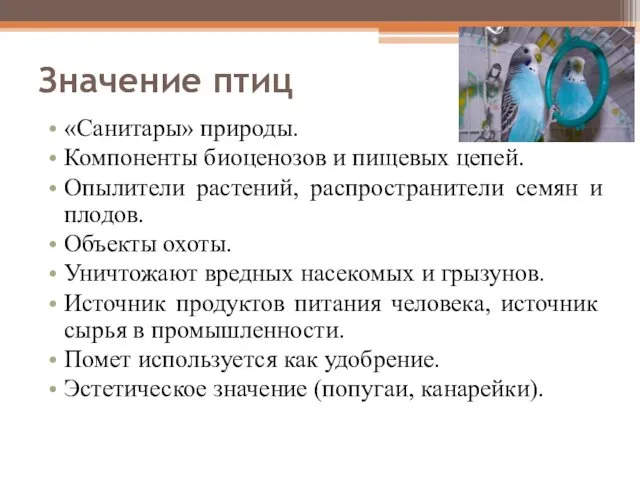 Значение птиц «Санитары» природы. Компоненты биоценозов и пищевых цепей. Опылители растений,