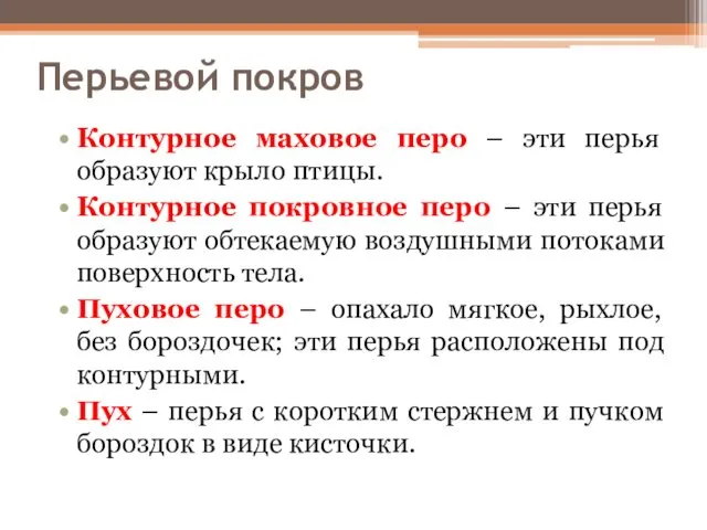 Перьевой покров Контурное маховое перо – эти перья образуют крыло птицы.