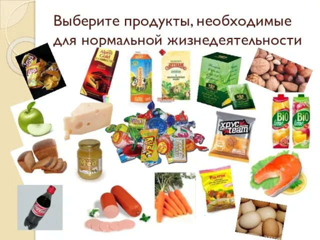 Выберите продукты, необходимые для нормальной жизнедеятельности