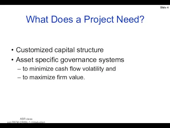 What Does a Project Need? Customized capital structure Asset specific governance