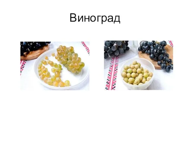 Виноград