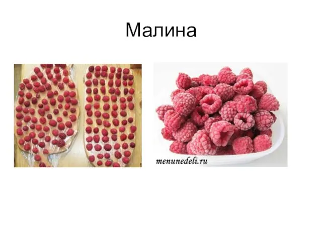 Малина