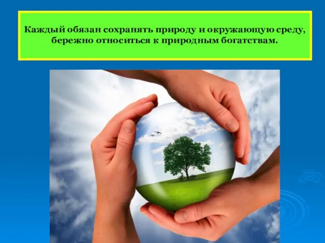 Каждый обязан сохранять природу и окружающую среду, бережно относиться к природным богатствам.