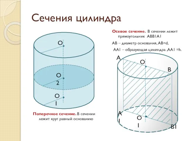 Сечения цилиндра Поперечное сечение. В сечении лежит круг равный основанию Осевое