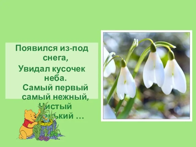 Появился из-под снега, Увидал кусочек неба. Самый первый самый нежный, Чистый маленький …