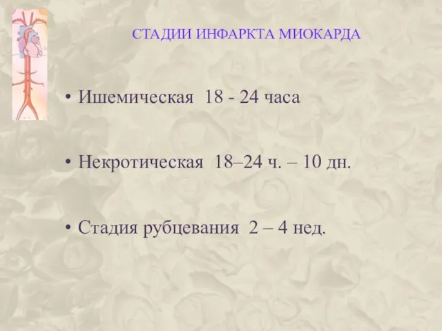 СТАДИИ ИНФАРКТА МИОКАРДА Ишемическая 18 - 24 часа Некротическая 18–24 ч.