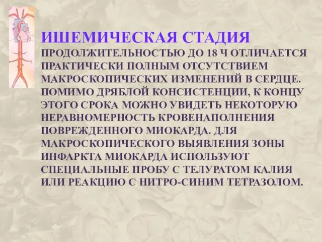 ИШЕМИЧЕСКАЯ СТАДИЯ ПРОДОЛЖИТЕЛЬНОСТЬЮ ДО 18 Ч ОТЛИЧАЕТСЯ ПРАКТИЧЕСКИ ПОЛНЫМ ОТСУТСТВИЕМ МАКРОСКОПИЧЕСКИХ