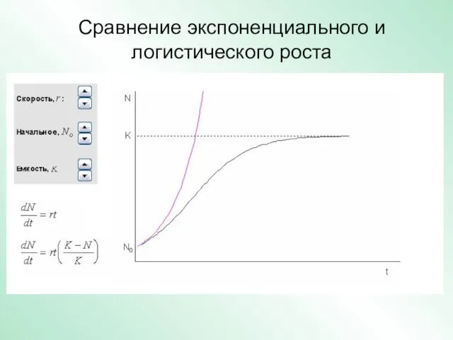 Сравнение экспоненциального и логистического роста