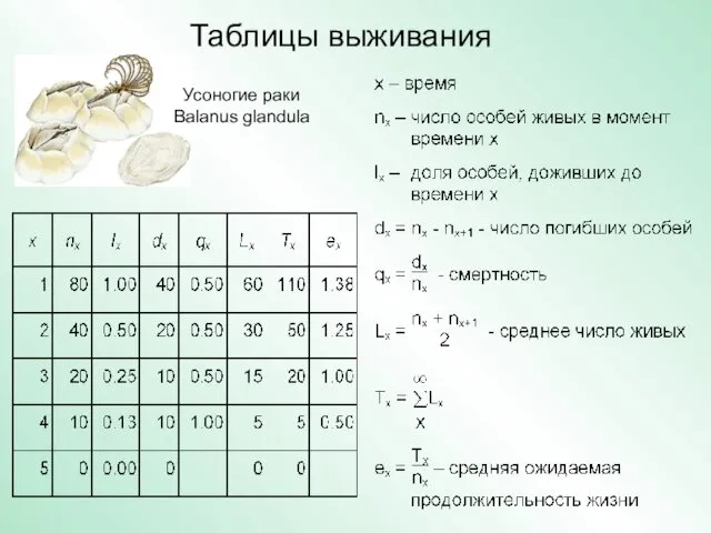 Таблицы выживания Усоногие раки Balanus glandula