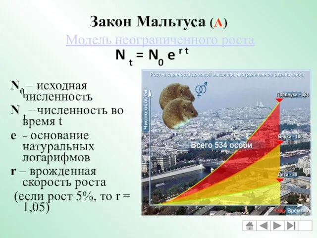 Закон Мальтуса (А) Модель неограниченного роста N0 – исходная численность N