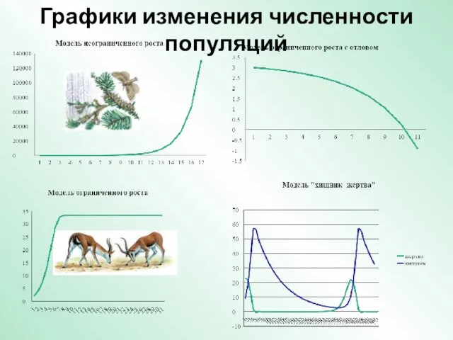 Графики изменения численности популяций