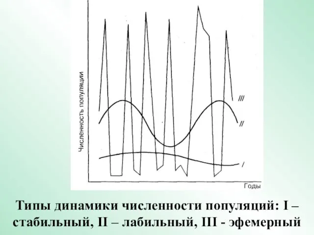 Типы динамики численности популяций: I – стабильный, II – лабильный, III - эфемерный