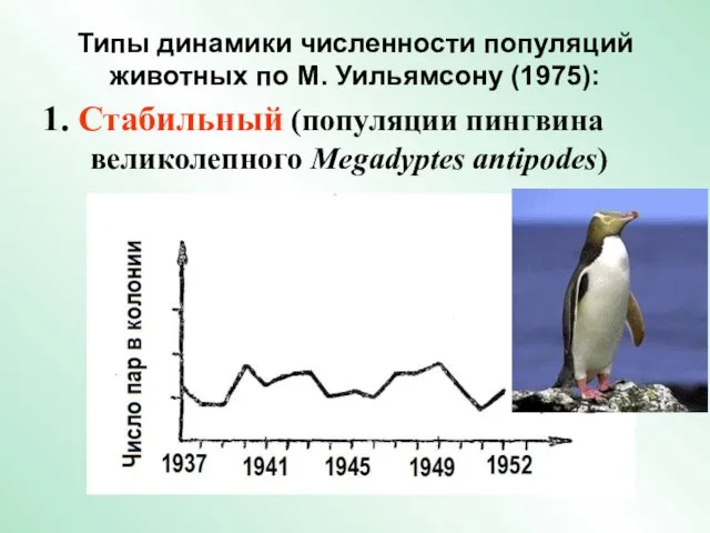 Типы динамики численности популяций животных по М. Уильямсону (1975): 1. Стабильный (популяции пингвина великолепного Megadyptes antipodes)