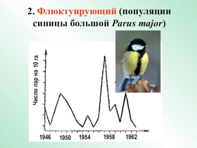 2. Флюктуирующий (популяции синицы большой Parus major)