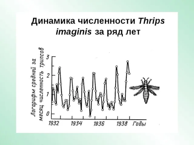 Концепции влияния факторов на динамику численности популяций Регуляционизм – А. Николсон