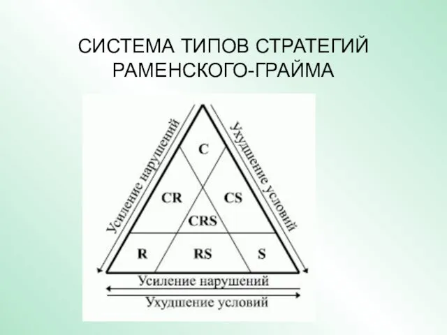 СИСТЕМА ТИПОВ СТРАТЕГИЙ РАМЕНСКОГО-ГРАЙМА