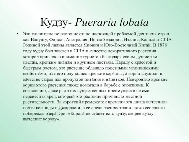 Кудзу- Pueraria lobata Это удивительное растение стало настоящей проблемой для таких