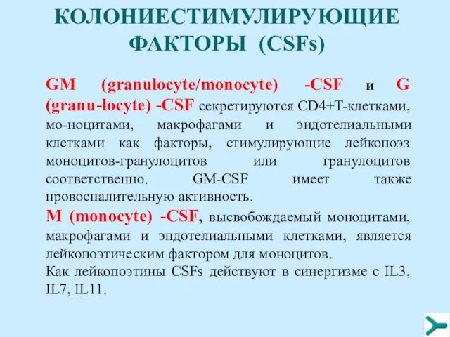 GM (granulocyte/monocyte) -CSF и G (granu-locyte) -CSF секретируются CD4+T-клетками, мо-ноцитами, макрофагами