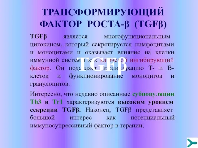 TРАНСФОРМИРУЮЩИЙ ФАКТОР РОСТА-β (TGFβ) TGFβ является многофункциональным цитокином, который секретируется лимфоцитами