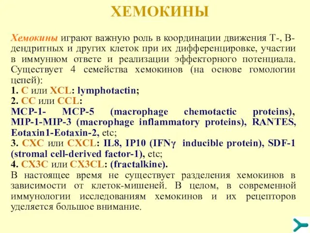 ХЕМОКИНЫ Хемокины играют важную роль в координации движения Т-, В- дендритных
