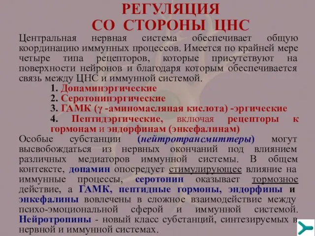 РЕГУЛЯЦИЯ СО СТОРОНЫ ЦНС Центральная нервная система обеспечивает общую координацию иммунных